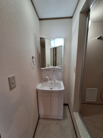 メゾンふじの洗面所