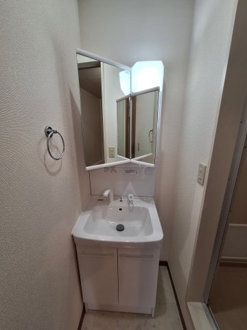 メゾンふじの洗面所