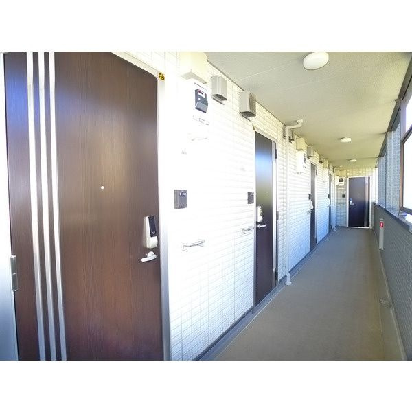 Cane rossoのその他