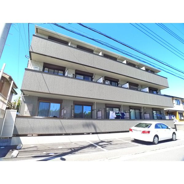 Cane rossoのその他