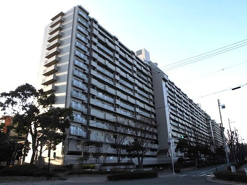 エバーグリーンポートアイランド２の外観|外観