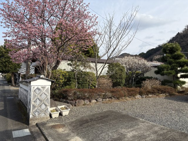 松崎町　松崎の庭|庭、駐車場