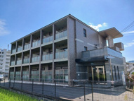 ソレアード　小柳の画像