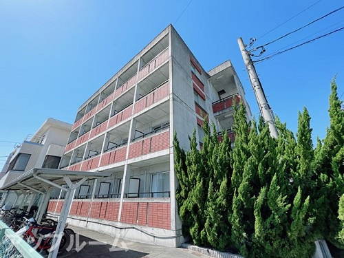 アルプスコート