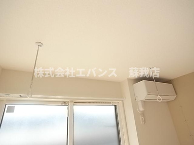  | Cortesia（コルテシア）