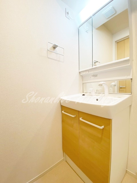 ポート　アリエッタの洗面所|収納豊富な独立洗面台