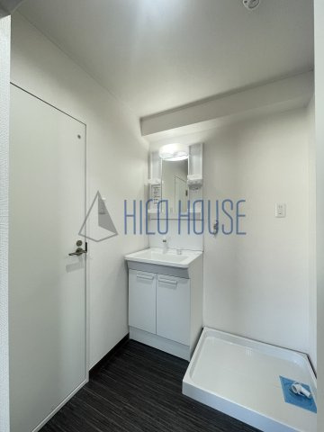 ロワール坂戸の洗面所