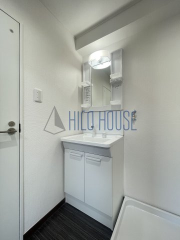 ロワール坂戸の洗面所