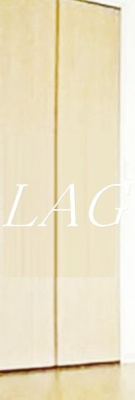 【収納】 | ベルハイム（高田馬場） | 収納です。