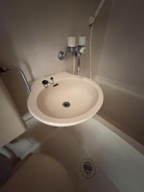 ハイツアルファの洗面所