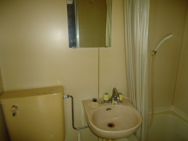 ラムール春日野道の洗面所