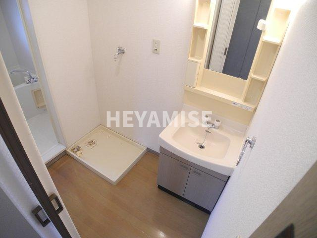 ロイヤルガーデン仲沖Dの洗面所