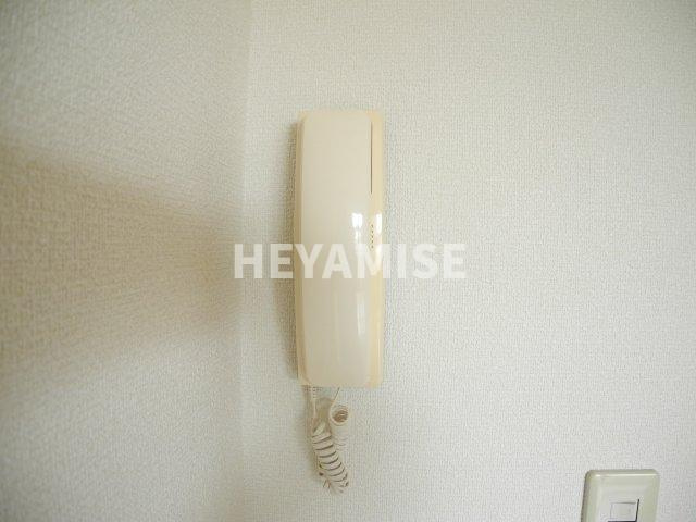 ロイヤルガーデン仲沖Dのセキュリティ