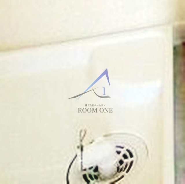 メゾンルピナスの設備|洗濯機置き場です。