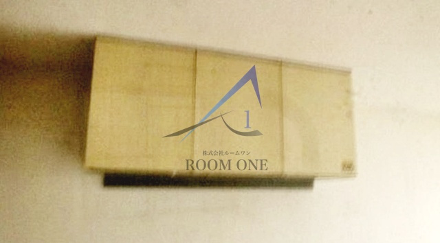 メゾン・ド・パピヨンの収納|収納です。