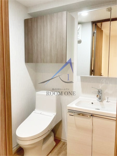 メイクス武蔵小杉Ⅱの洗面所|独立洗面台です。