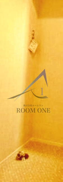 ソラーナ南池袋の設備|洗濯機置き場です。