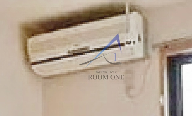 ドルフのその他