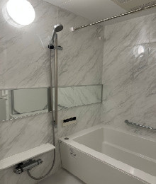 ライオンズステーションプラザ入谷の浴室