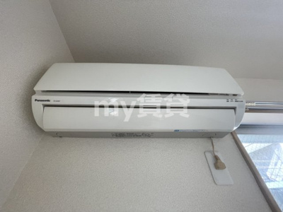 【その他】 | シェランド