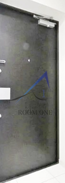 コンシェリア東京　AQUA　VERTの玄関|玄関です。