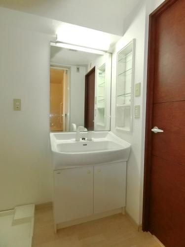 ラフィーネの洗面所|ゆったりとスペースのある洗面所