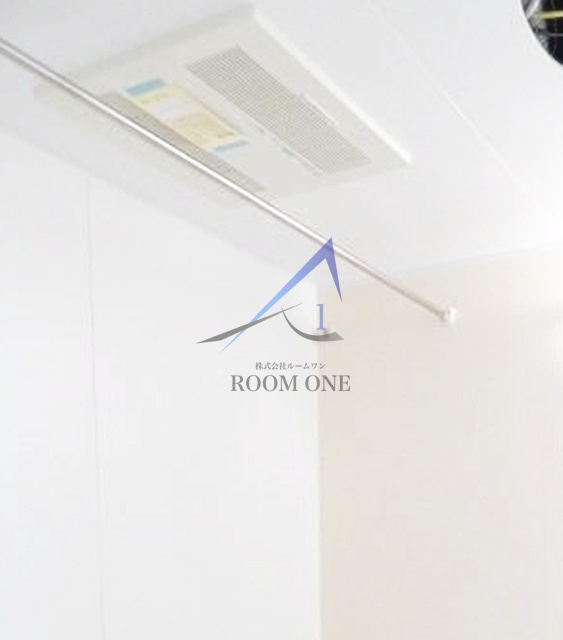 モランのその他