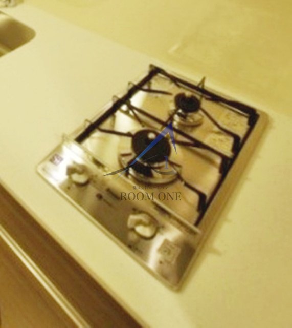 ブライズ多摩川DUEのその他