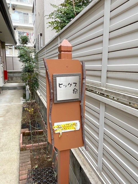 ヒッグス泉の周辺