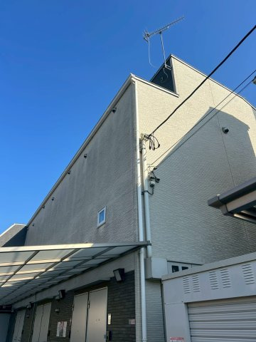 パームツリー金町