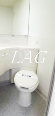 【トイレ】 | ロイヤルグリーン本郷 | トイレです。