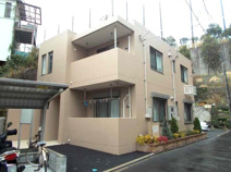 プリムローズの画像