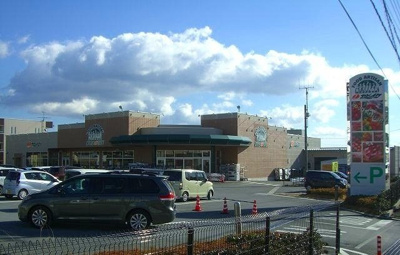 【周辺】 | エレガントパール | スーパーカドイケまで400m