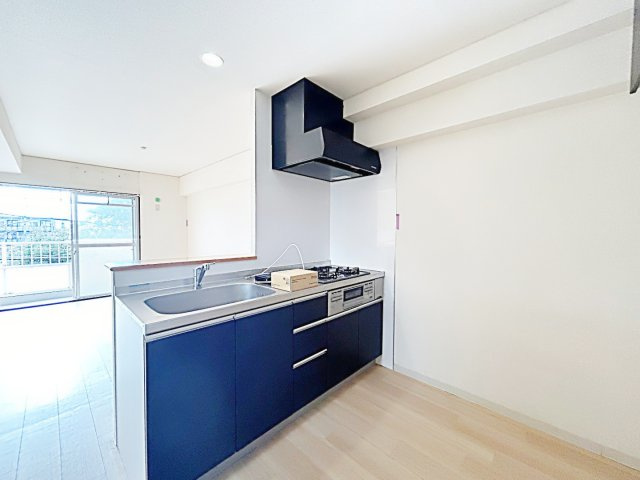 フジパークハイツ A棟・B棟のキッチン