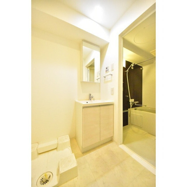 メインステージ錦糸町Ⅶラピスの内装