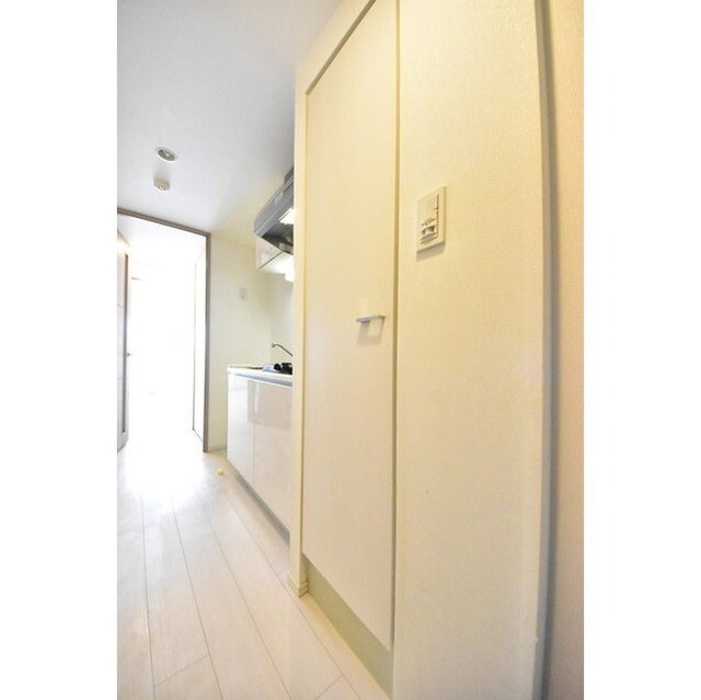 メインステージ錦糸町Ⅶラピスの内装