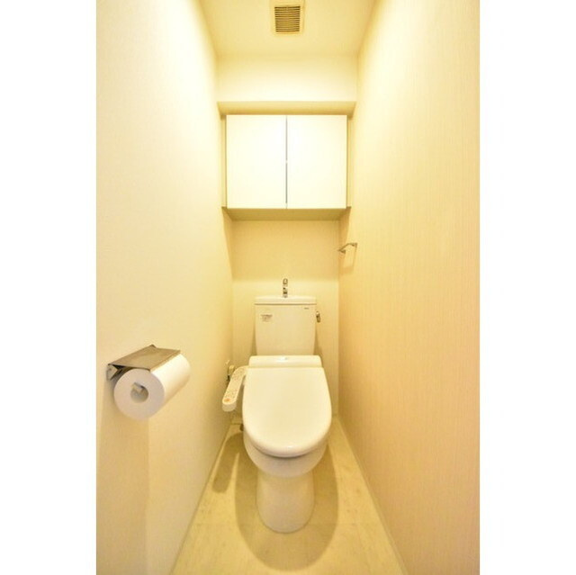 メインステージ錦糸町Ⅶラピスの内装