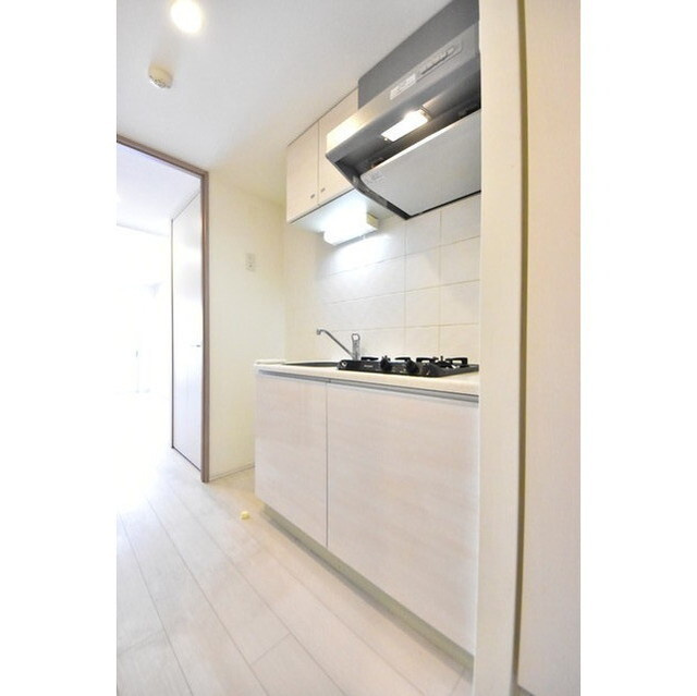 メインステージ錦糸町Ⅶラピスの内装