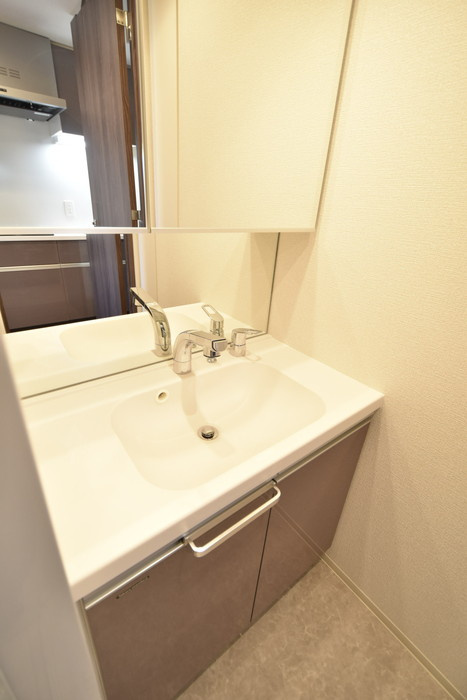 グランパセオ清澄白河Ⅱの洗面所