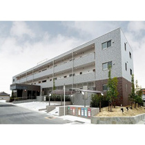 CENTRAL FERSの画像