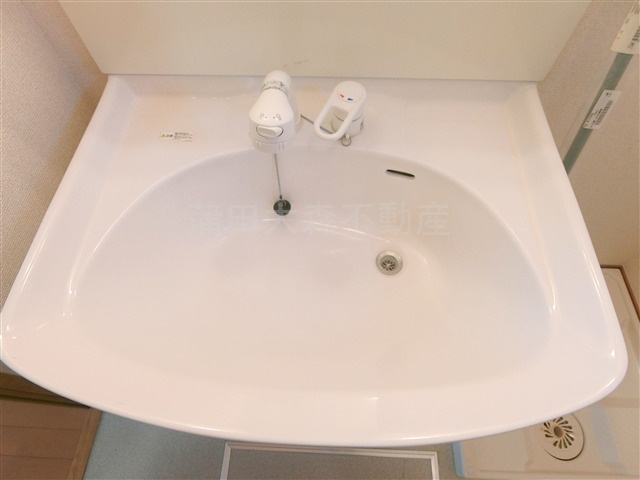 グリーンフォレストⅡの洗面所