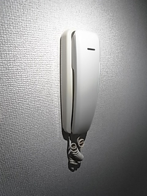 アーネスト坂田のセキュリティ