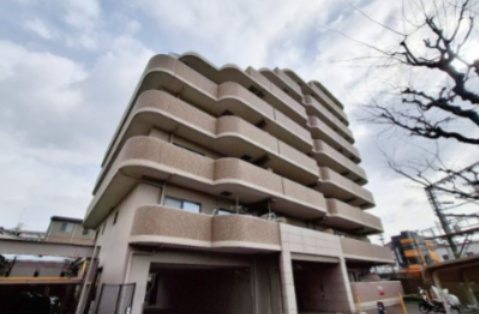 ディオ・フェルティ白鷺