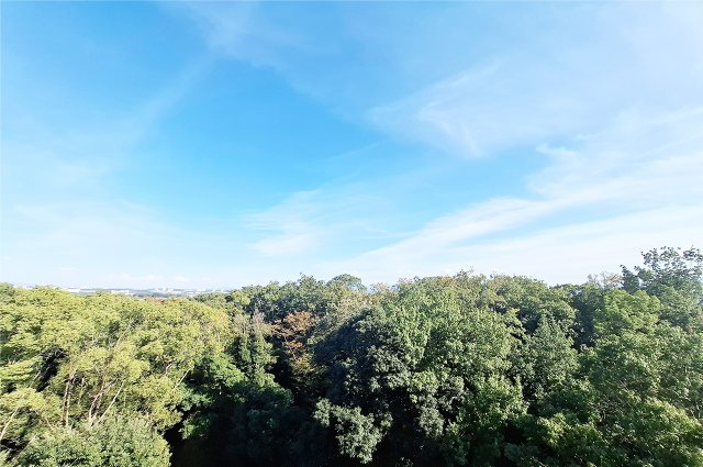 堺・泉北光明池城山公園シンシアの展望|眺望：9階部分で眺望良好です。