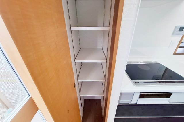 ディーレスティア堺・光明池の収納|キッチン：システムキッチン横に設置されたパントリー。便利な可動棚付きです。