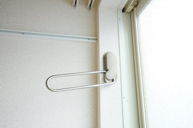 グレースベガのその他