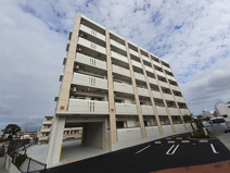 エアリーサンリットの画像