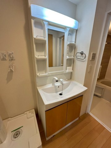 コスモスガーデンの洗面所