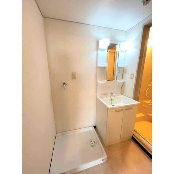 ロイヤルコーポ東雲の洗面所