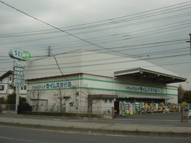 ドラッグセイムス安行店まで1,172ｍ